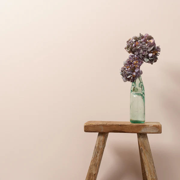 Sweetcheeks - Wall Paint Dinkie 250ml