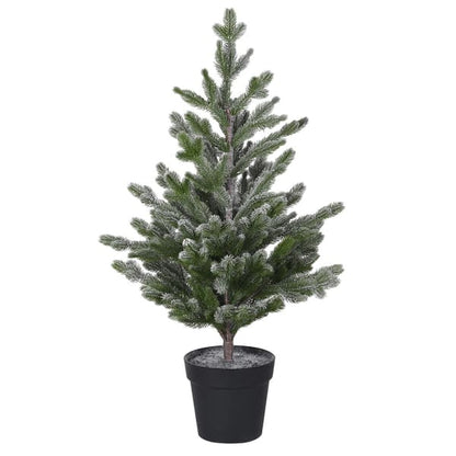 Snowy Pine tree in Pot