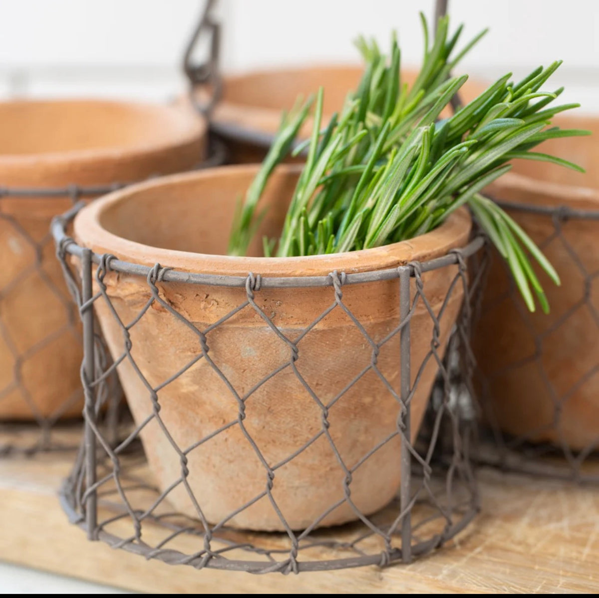 Antiqued Redstone Pot in baskets