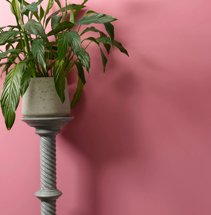 Macaroon Peel And Stick Paint Sample