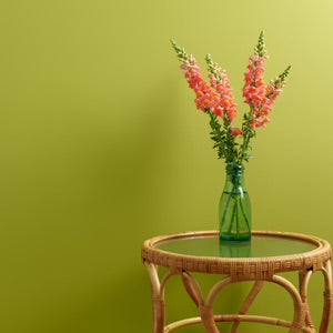 Lime Light Peel And Stick Paint Sample