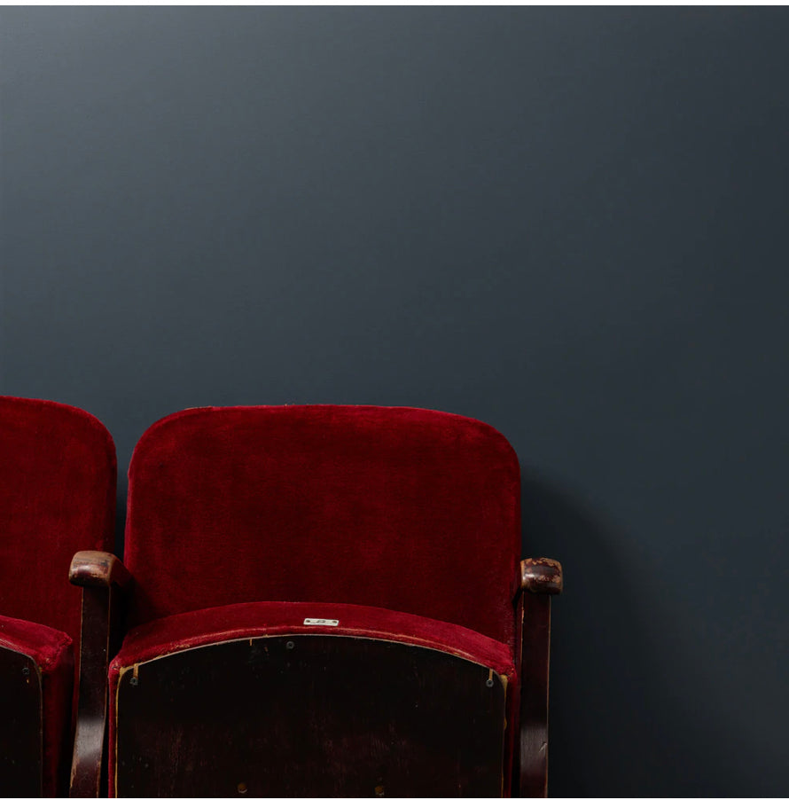 Dark Horse Peel And Stick Paint Sample