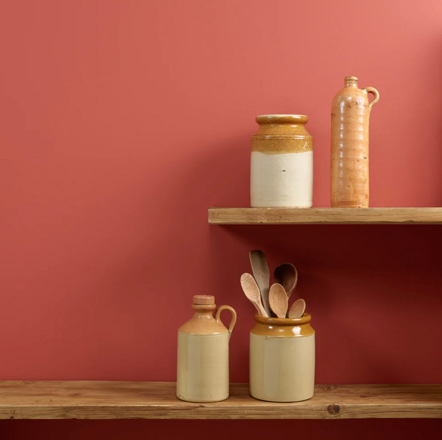 Dawlish Peel and Stick Paint Sample