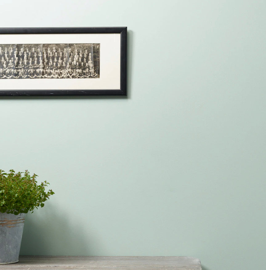 Little Duckie Peel And Stick Paint Sample